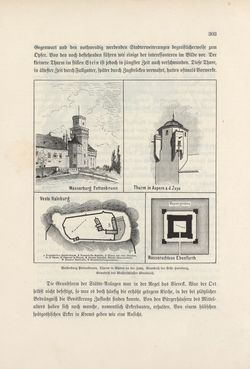 Bild der Seite - 303 - in Die österreichisch-ungarische Monarchie in Wort und Bild - Wien und Niederösterreich, 2. Abteilung: Niederösterreich, Band 4
