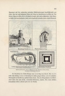 Image of the Page - 303 - in Die österreichisch-ungarische Monarchie in Wort und Bild - Wien und Niederösterreich, 2. Abteilung: Niederösterreich, Volume 4