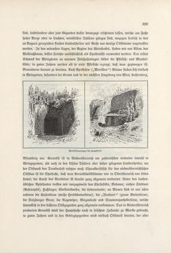 Image of the Page - 329 - in Die österreichisch-ungarische Monarchie in Wort und Bild - Wien und Niederösterreich, 2. Abteilung: Niederösterreich, Volume 4