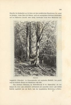 Image of the Page - 339 - in Die österreichisch-ungarische Monarchie in Wort und Bild - Wien und Niederösterreich, 2. Abteilung: Niederösterreich, Volume 4