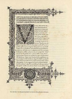 Bild der Seite - 125 - in Die österreichisch-ungarische Monarchie in Wort und Bild - Übersichtsband, Ungarn (1), Band 5
