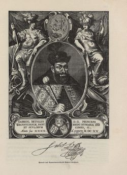 Bild der Seite - 185 - in Die österreichisch-ungarische Monarchie in Wort und Bild - Übersichtsband, Ungarn (1), Band 5