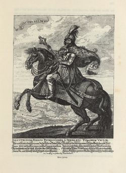 Image of the Page - 195 - in Die österreichisch-ungarische Monarchie in Wort und Bild - Übersichtsband, Ungarn (1), Volume 5