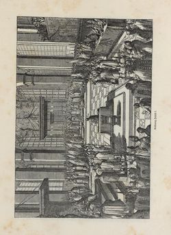Image of the Page - 209 - in Die österreichisch-ungarische Monarchie in Wort und Bild - Übersichtsband, Ungarn (1), Volume 5