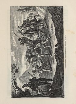 Image of the Page - 219 - in Die österreichisch-ungarische Monarchie in Wort und Bild - Übersichtsband, Ungarn (1), Volume 5