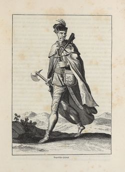 Bild der Seite - 223 - in Die österreichisch-ungarische Monarchie in Wort und Bild - Übersichtsband, Ungarn (1), Band 5
