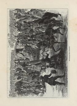 Image of the Page - 233 - in Die österreichisch-ungarische Monarchie in Wort und Bild - Übersichtsband, Ungarn (1), Volume 5