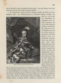 Image of the Page - 239 - in Die österreichisch-ungarische Monarchie in Wort und Bild - Übersichtsband, Ungarn (1), Volume 5