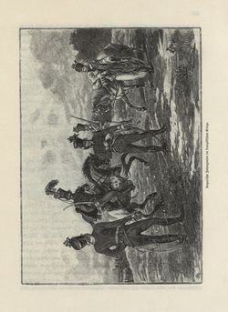 Bild der Seite - 265 - in Die österreichisch-ungarische Monarchie in Wort und Bild - Übersichtsband, Ungarn (1), Band 5