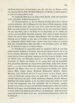 Bild der Seite - 305 - in Die österreichisch-ungarische Monarchie in Wort und Bild - Übersichtsband, Ungarn (1), Band 5