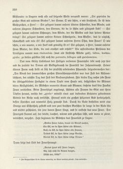 Bild der Seite - 310 - in Die österreichisch-ungarische Monarchie in Wort und Bild - Übersichtsband, Ungarn (1), Band 5