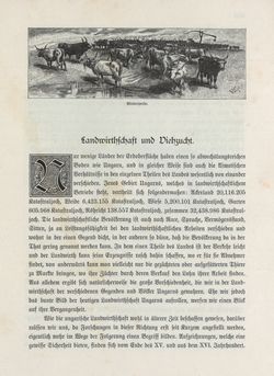 Bild der Seite - 413 - in Die österreichisch-ungarische Monarchie in Wort und Bild - Übersichtsband, Ungarn (1), Band 5