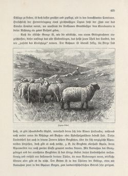 Bild der Seite - 425 - in Die österreichisch-ungarische Monarchie in Wort und Bild - Übersichtsband, Ungarn (1), Band 5