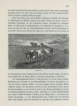 Image of the Page - 437 - in Die österreichisch-ungarische Monarchie in Wort und Bild - Übersichtsband, Ungarn (1), Volume 5