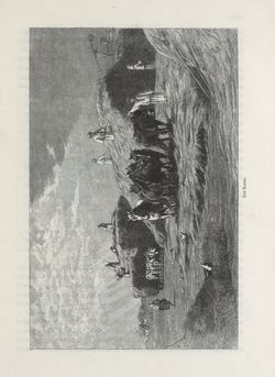 Image of the Page - 439 - in Die österreichisch-ungarische Monarchie in Wort und Bild - Übersichtsband, Ungarn (1), Volume 5