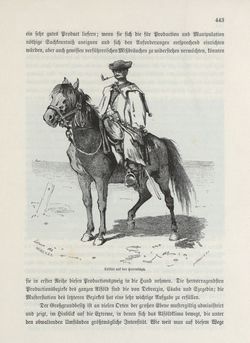 Bild der Seite - 443 - in Die österreichisch-ungarische Monarchie in Wort und Bild - Übersichtsband, Ungarn (1), Band 5