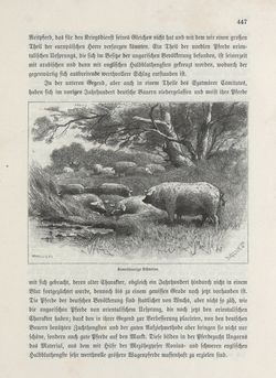 Image of the Page - 447 - in Die österreichisch-ungarische Monarchie in Wort und Bild - Übersichtsband, Ungarn (1), Volume 5