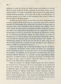 Image of the Page - 460 - in Die österreichisch-ungarische Monarchie in Wort und Bild - Übersichtsband, Ungarn (1), Volume 5