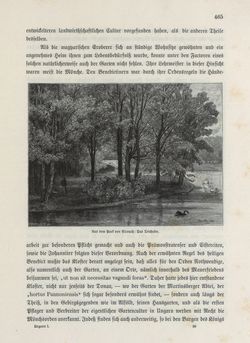 Bild der Seite - 465 - in Die österreichisch-ungarische Monarchie in Wort und Bild - Übersichtsband, Ungarn (1), Band 5