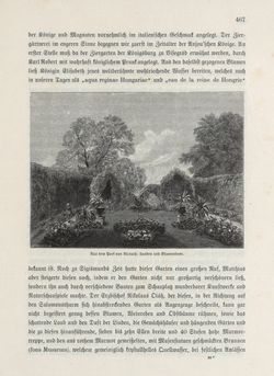Bild der Seite - 467 - in Die österreichisch-ungarische Monarchie in Wort und Bild - Übersichtsband, Ungarn (1), Band 5