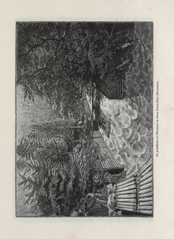 Image of the Page - 477 - in Die österreichisch-ungarische Monarchie in Wort und Bild - Übersichtsband, Ungarn (1), Volume 5