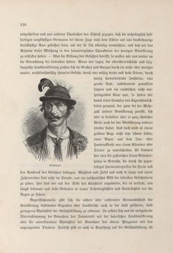 Image of the Page - 116 - in Die österreichisch-ungarische Monarchie in Wort und Bild - Oberösterreich und Salzburg, Volume 6