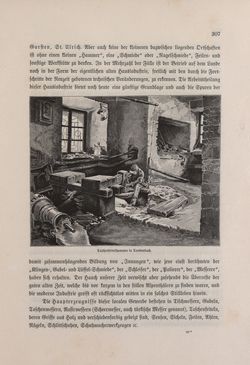Bild der Seite - 307 - in Die österreichisch-ungarische Monarchie in Wort und Bild - Oberösterreich und Salzburg, Band 6