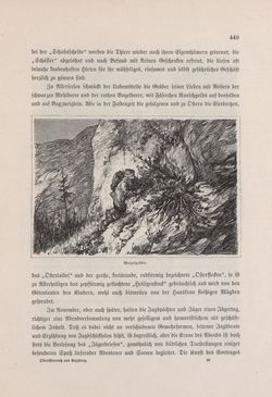 Bild der Seite - 449 - in Die österreichisch-ungarische Monarchie in Wort und Bild - Oberösterreich und Salzburg, Band 6