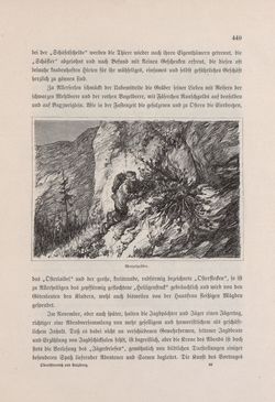 Image of the Page - 449 - in Die österreichisch-ungarische Monarchie in Wort und Bild - Oberösterreich und Salzburg, Volume 6