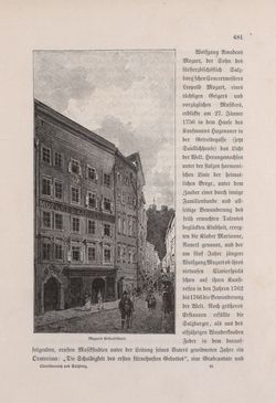 Bild der Seite - 481 - in Die österreichisch-ungarische Monarchie in Wort und Bild - Oberösterreich und Salzburg, Band 6