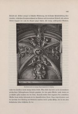 Bild der Seite - 541 - in Die österreichisch-ungarische Monarchie in Wort und Bild - Oberösterreich und Salzburg, Band 6