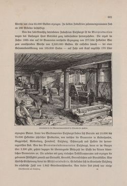 Bild der Seite - 601 - in Die österreichisch-ungarische Monarchie in Wort und Bild - Oberösterreich und Salzburg, Band 6