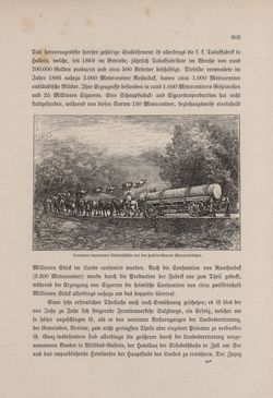 Image of the Page - 603 - in Die österreichisch-ungarische Monarchie in Wort und Bild - Oberösterreich und Salzburg, Volume 6