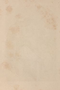 Image of the Page - (00000164) - in Die österreichisch-ungarische Monarchie in Wort und Bild - Steiermark, Volume 7