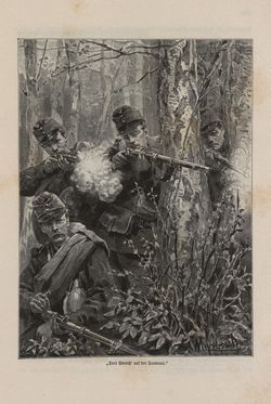 Bild der Seite - 203 - in Die österreichisch-ungarische Monarchie in Wort und Bild - Steiermark, Band 7