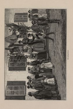 Image of the Page - 215 - in Die österreichisch-ungarische Monarchie in Wort und Bild - Steiermark, Volume 7