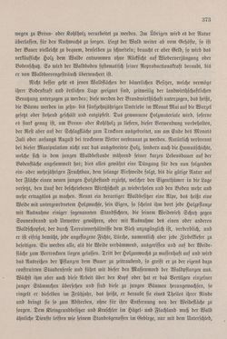 Image of the Page - 373 - in Die österreichisch-ungarische Monarchie in Wort und Bild - Steiermark, Volume 7