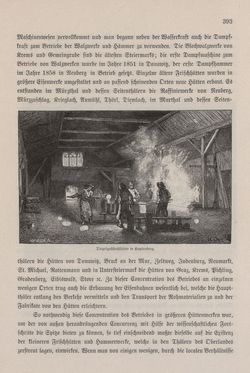 Image of the Page - 393 - in Die österreichisch-ungarische Monarchie in Wort und Bild - Steiermark, Volume 7