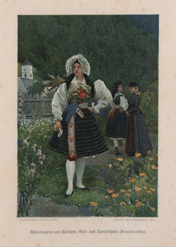 Bild der Seite - (00000115) - in Die österreichisch-ungarische Monarchie in Wort und Bild - Kärnten und Krain, Band 8