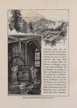 Image of the Page - 251 - in Die österreichisch-ungarische Monarchie in Wort und Bild - Kärnten und Krain, Volume 8