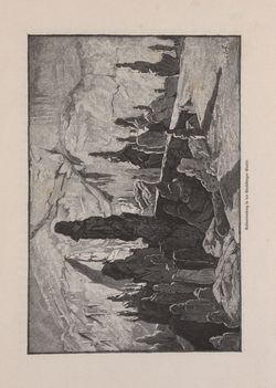 Image of the Page - 295 - in Die österreichisch-ungarische Monarchie in Wort und Bild - Kärnten und Krain, Volume 8