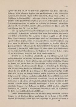 Bild der Seite - 307 - in Die österreichisch-ungarische Monarchie in Wort und Bild - Kärnten und Krain, Band 8