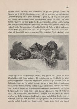 Bild der Seite - 357 - in Die österreichisch-ungarische Monarchie in Wort und Bild - Kärnten und Krain, Band 8