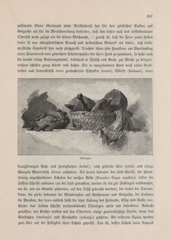 Image of the Page - 357 - in Die österreichisch-ungarische Monarchie in Wort und Bild - Kärnten und Krain, Volume 8