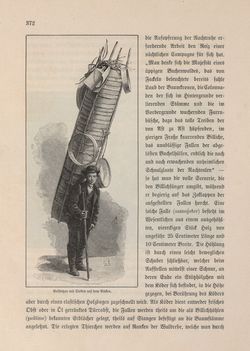 Image of the Page - 372 - in Die österreichisch-ungarische Monarchie in Wort und Bild - Kärnten und Krain, Volume 8