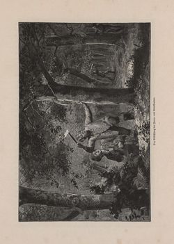 Image of the Page - 375 - in Die österreichisch-ungarische Monarchie in Wort und Bild - Kärnten und Krain, Volume 8