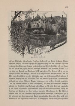 Bild der Seite - 393 - in Die österreichisch-ungarische Monarchie in Wort und Bild - Kärnten und Krain, Band 8