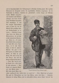 Bild der Seite - 423 - in Die österreichisch-ungarische Monarchie in Wort und Bild - Kärnten und Krain, Band 8