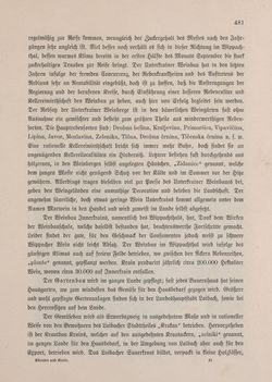 Bild der Seite - 481 - in Die österreichisch-ungarische Monarchie in Wort und Bild - Kärnten und Krain, Band 8