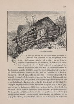 Image of the Page - 487 - in Die österreichisch-ungarische Monarchie in Wort und Bild - Kärnten und Krain, Volume 8